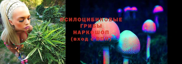 ешки Коряжма