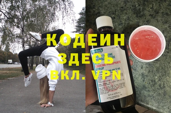 индика Корсаков
