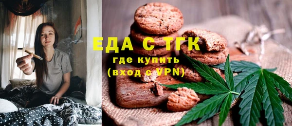 индика Корсаков