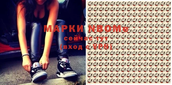 индика Корсаков