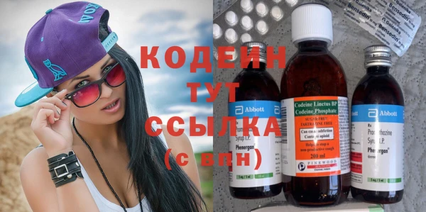 индика Корсаков