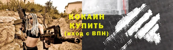 индика Корсаков