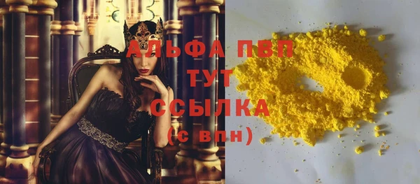 индика Корсаков