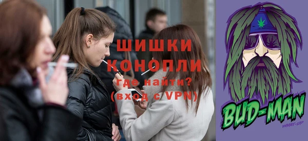индика Корсаков