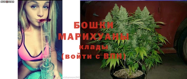 соль ск Костерёво
