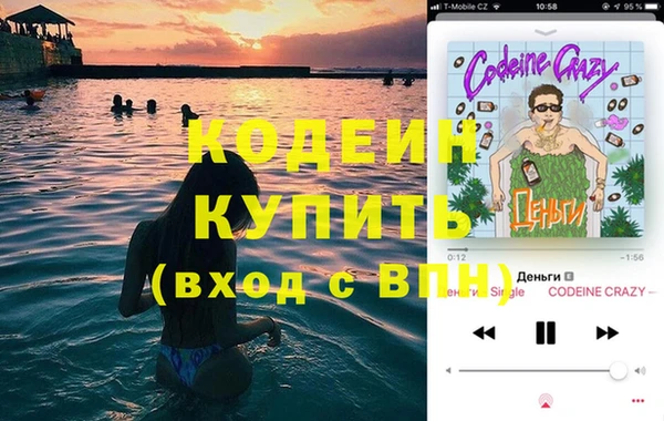 индика Корсаков